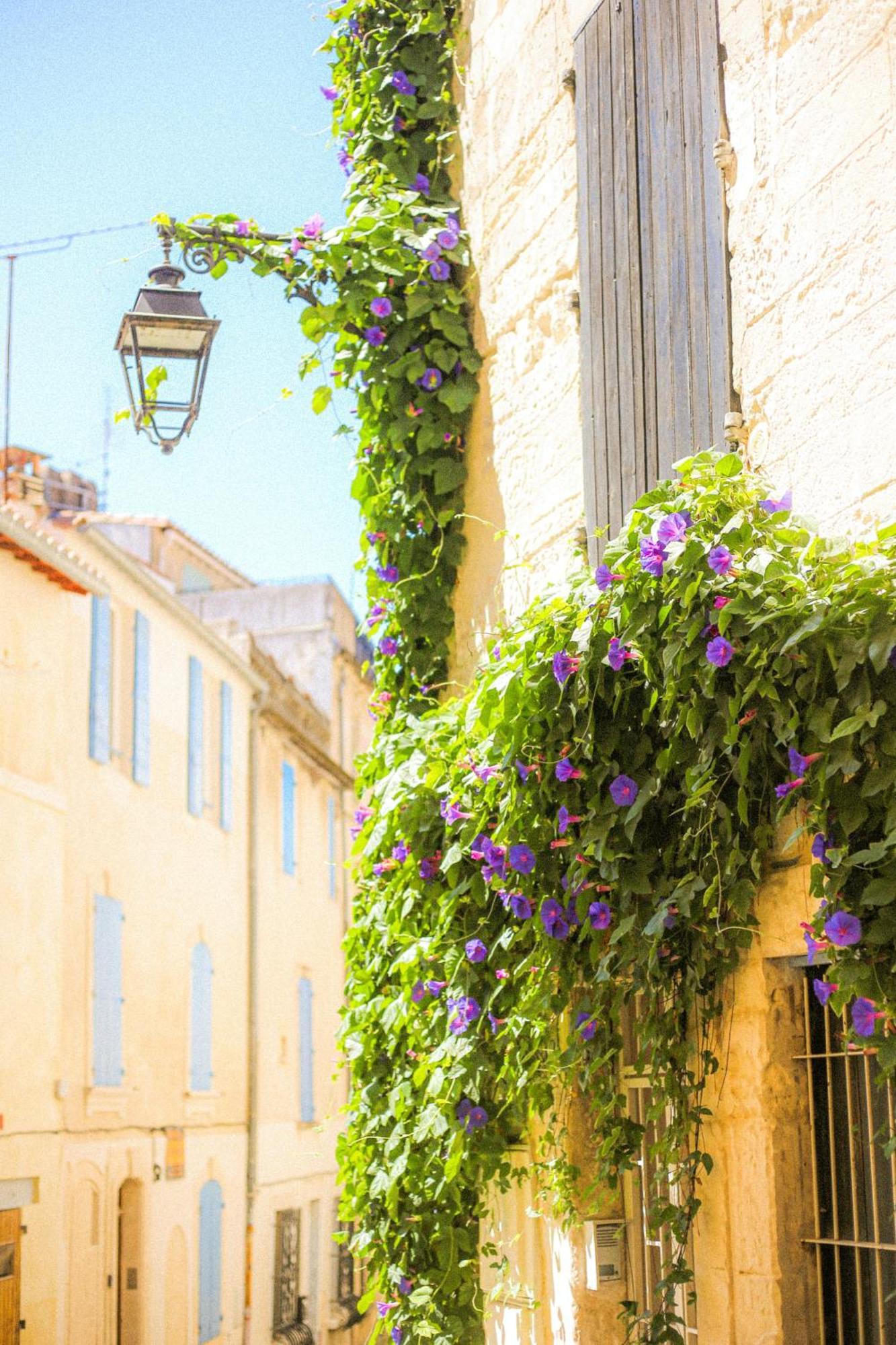 Apartment Bel Proche Arenes Arles